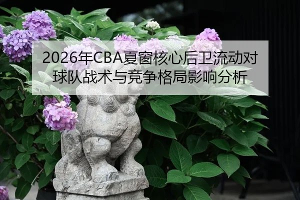 nian-xia-chuang-he-xin-hou-wei-liu-dong-dui-qiu-dui-zhan-shu-yu-jing-zheng-ge-ju-ying-xiang-fen-xi-2-991.jpg