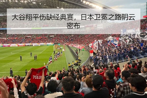 da-gu-xiang-ping-shang-que-jing-dian-sai-ri-ben-wei-mian-zhi-lu-yin-yun-mi-bu-2-460.jpg